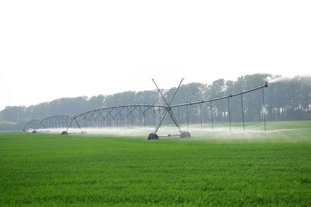 ָ��ʽ����