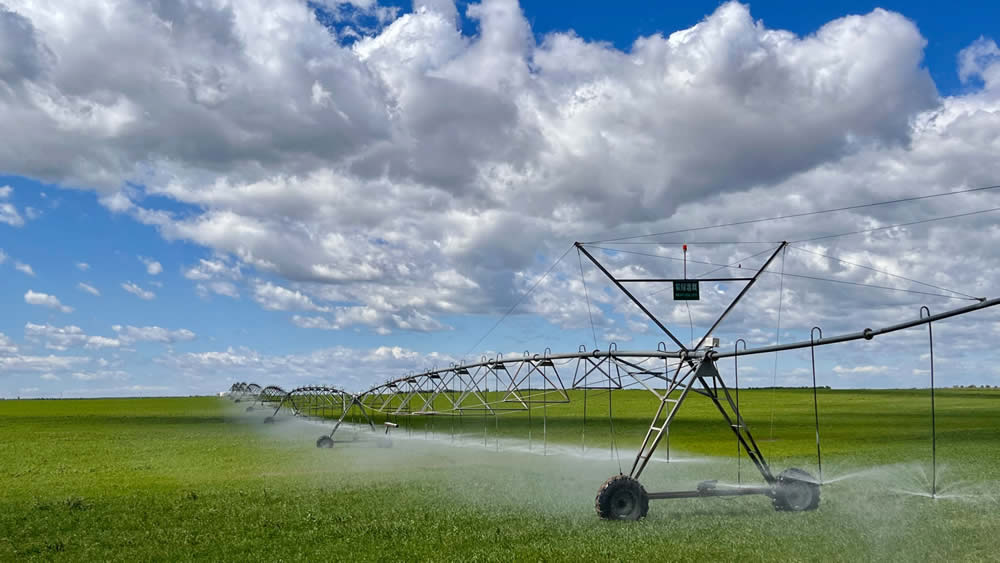 ָ��ʽ����